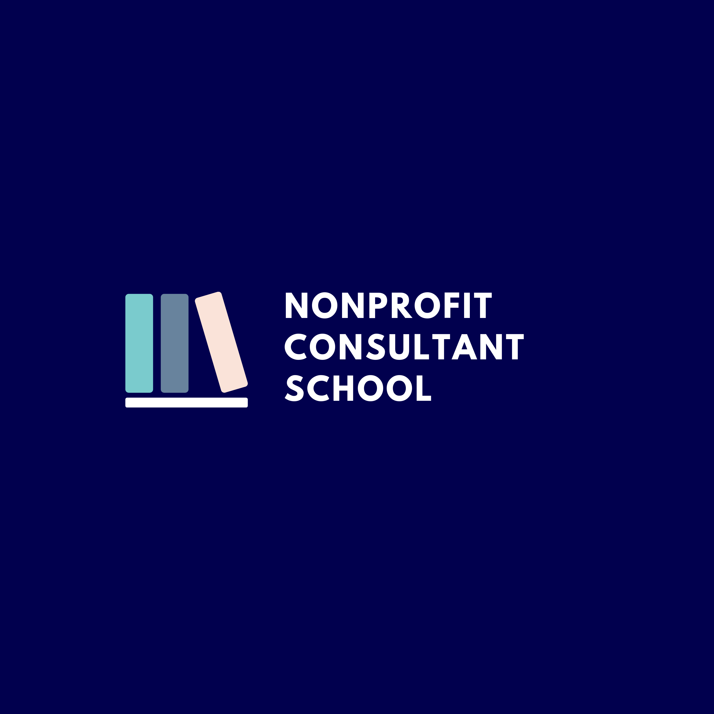 Nonprofit Consultant School